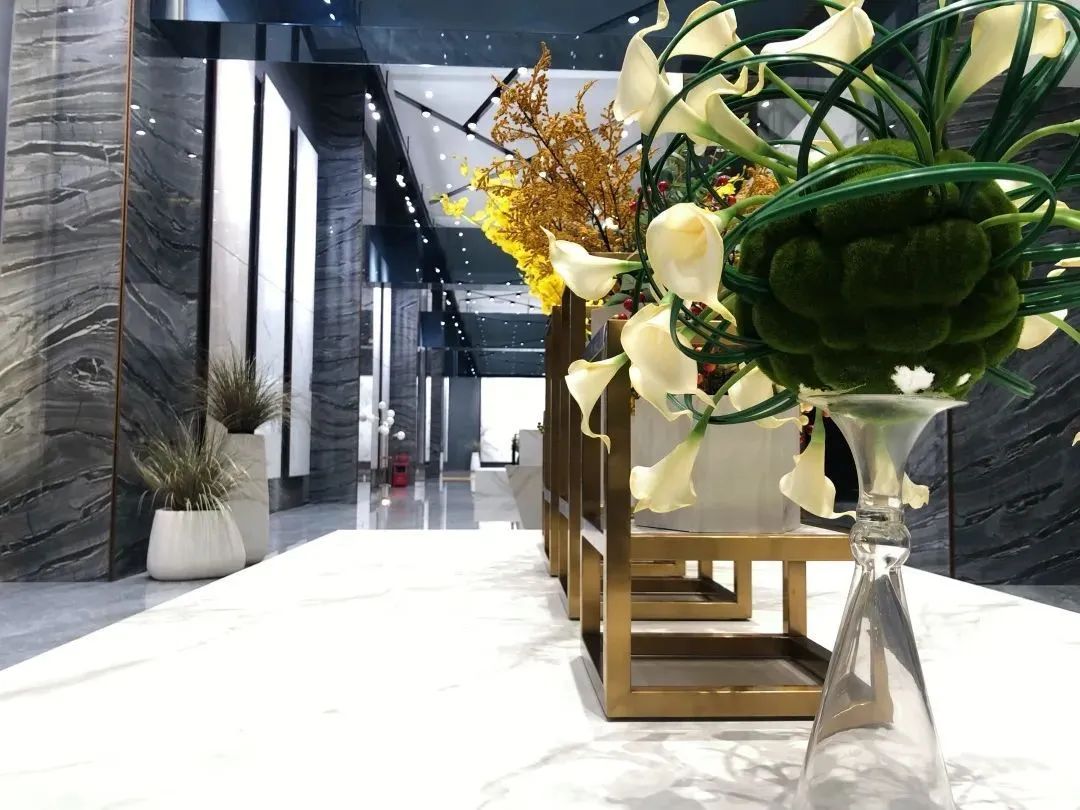 禪城區(qū)府辦副主任赴德利豐家居開展調研工作(圖1)