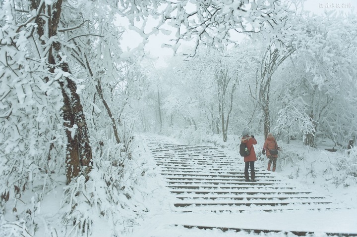 大雪入冬，這邊卻刮起了“火熱風(fēng)暴”(圖2)