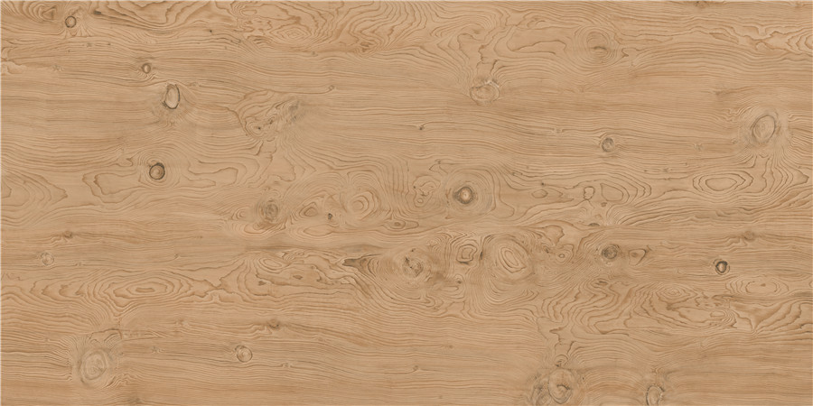 【新品品鑒】金絲楠—賞新悅木，本色生活(圖3)