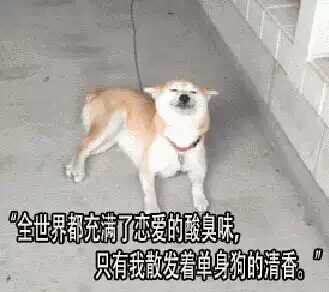 官宣！聽說德利豐大巖板戀愛了？(圖3)